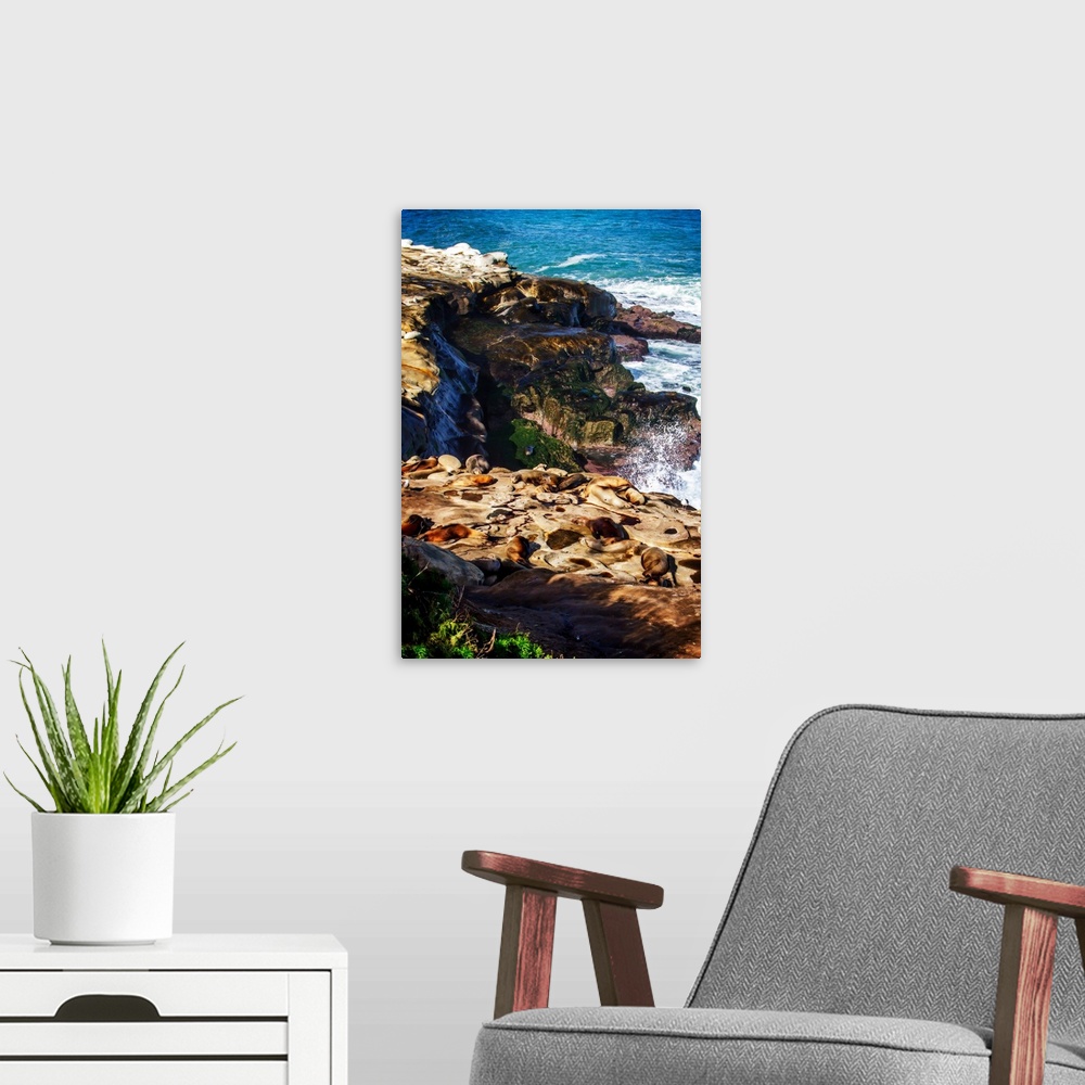 A modern room featuring Landscape photograph of rocky cliffs at La Jolla with sea lions laying on top of them.