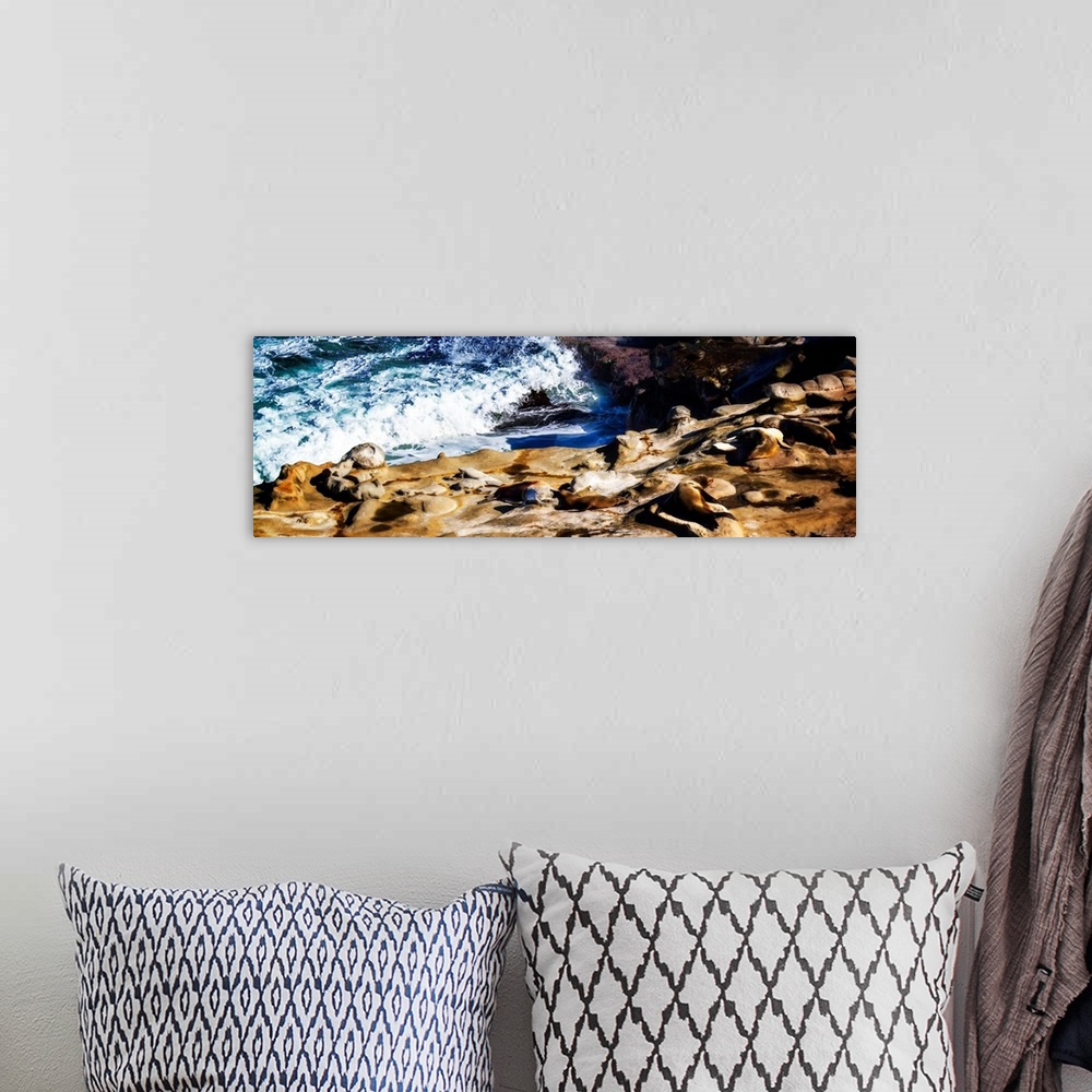 A bohemian room featuring Panoramic photograph of sea lions laying on rocky cliffs at the seashore in La Jolla, CA.