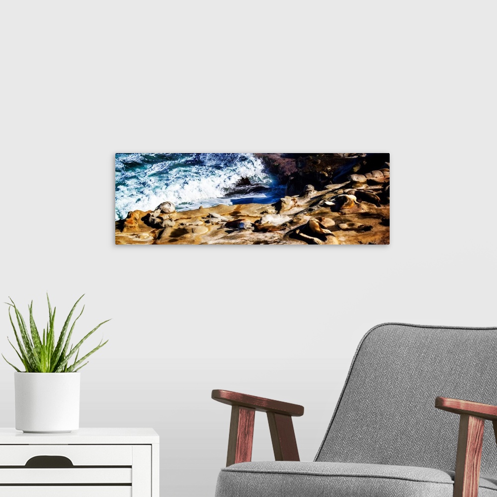 A modern room featuring Panoramic photograph of sea lions laying on rocky cliffs at the seashore in La Jolla, CA.