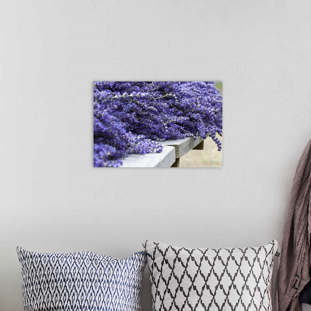A bohemian room featuring Oversized close up horizontal photograph of a large bunch of lavender lying on a stone surface af...