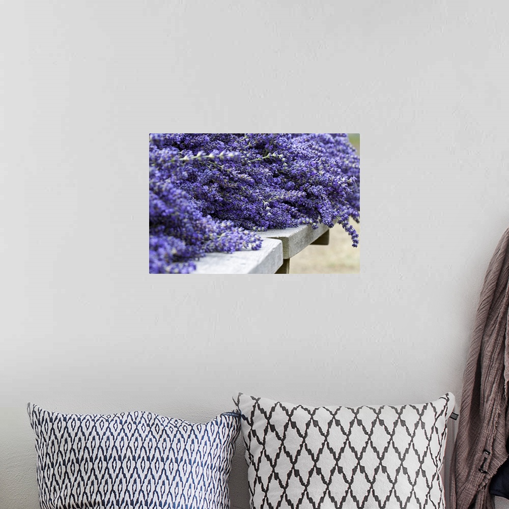 A bohemian room featuring Oversized close up horizontal photograph of a large bunch of lavender lying on a stone surface af...
