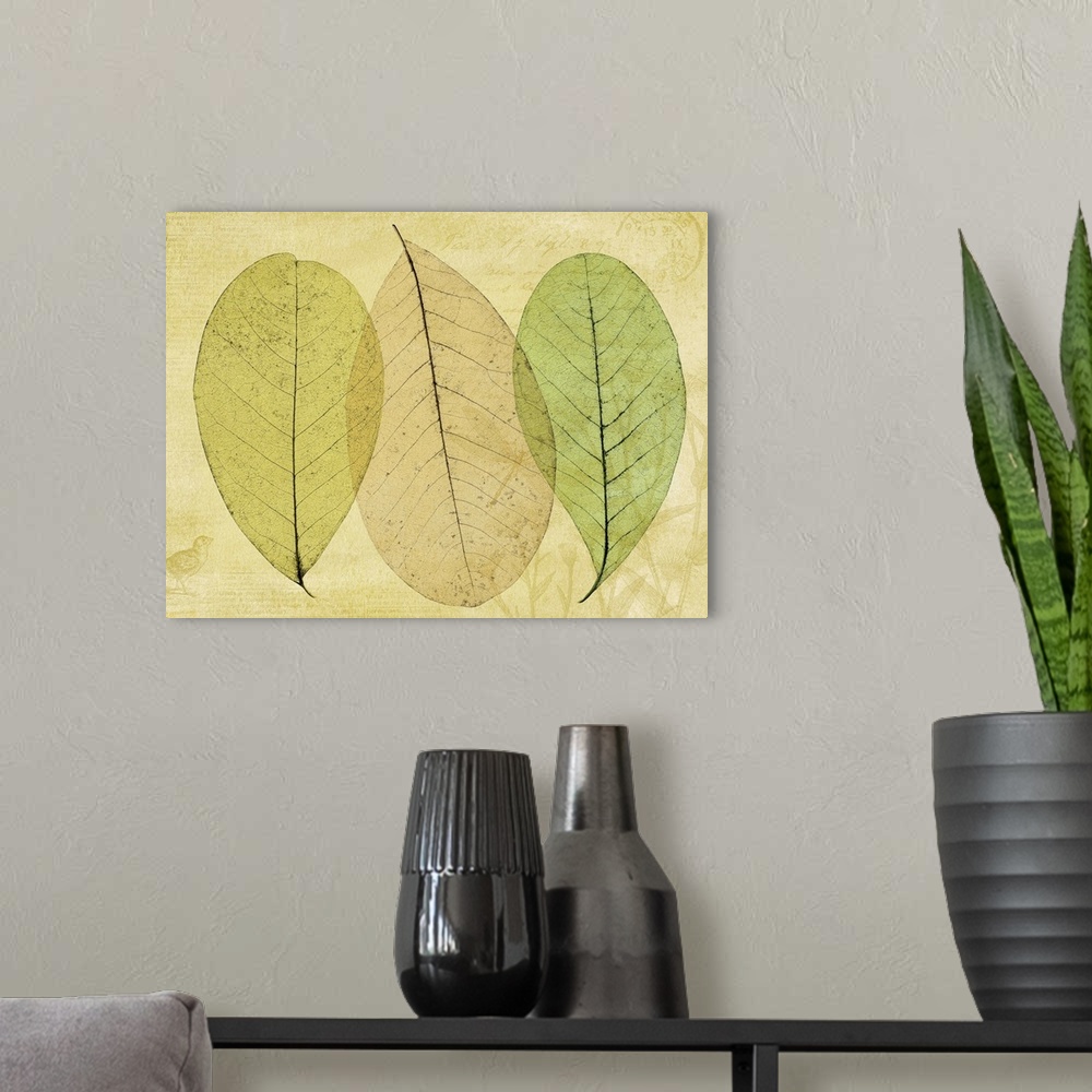 A modern room featuring Skeletonized leaves - composite image