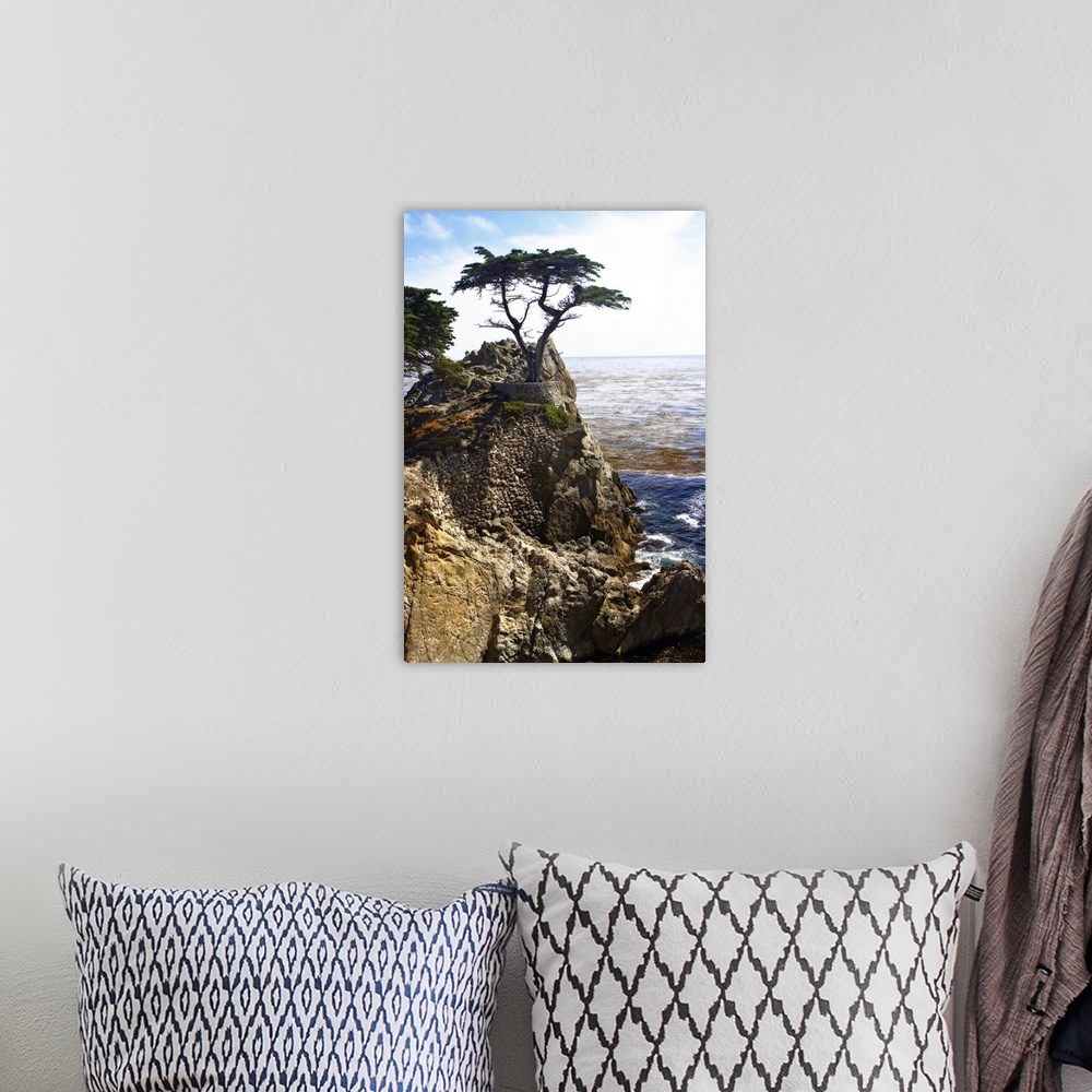A bohemian room featuring Portrait photograph on a large wall hanging, of a single cypress tree at the top of a rocky cliff...