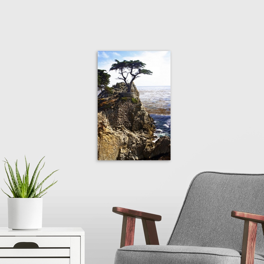 A modern room featuring Portrait photograph on a large wall hanging, of a single cypress tree at the top of a rocky cliff...