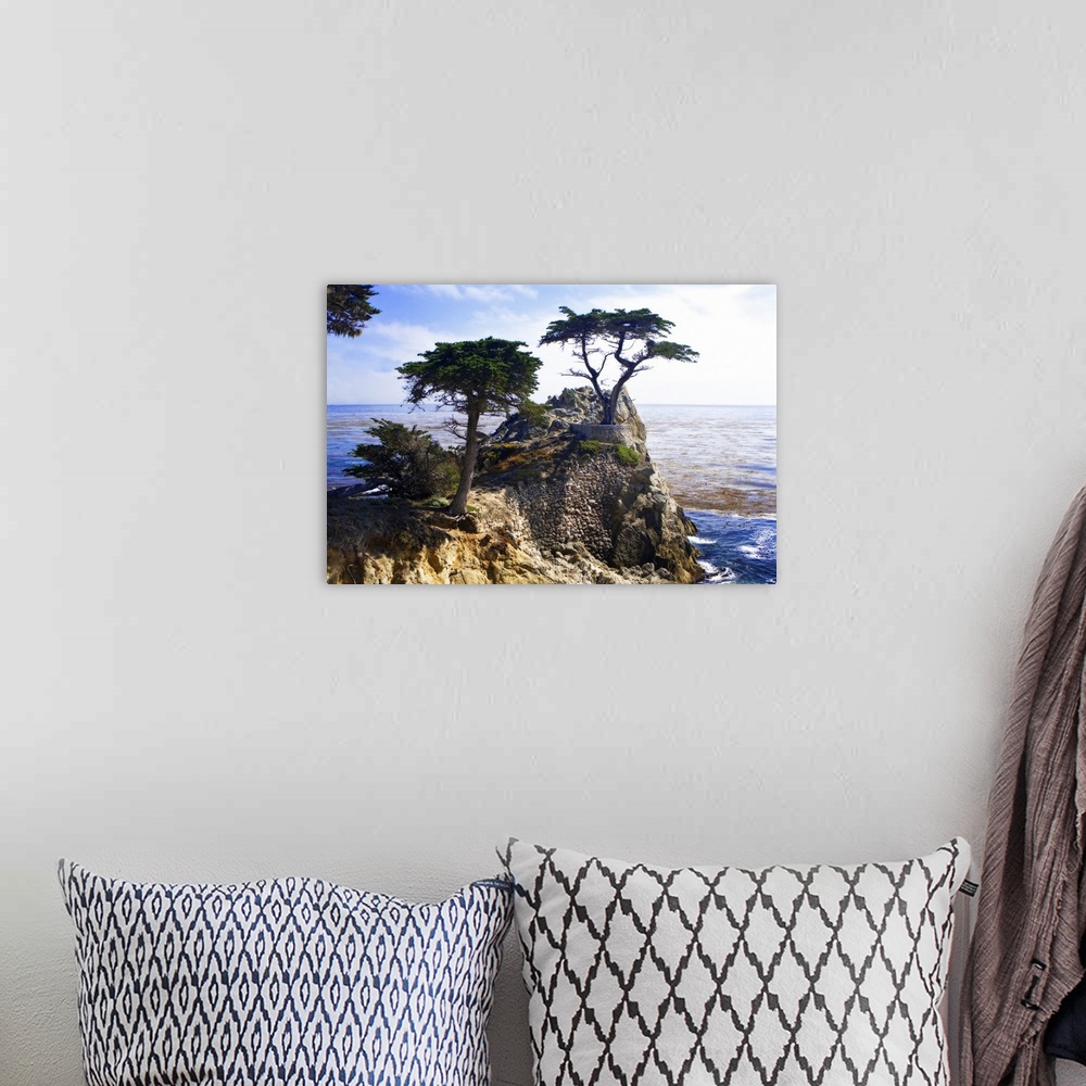 A bohemian room featuring Photograph of a solitary tree atop a cliff overlooking the water in California.