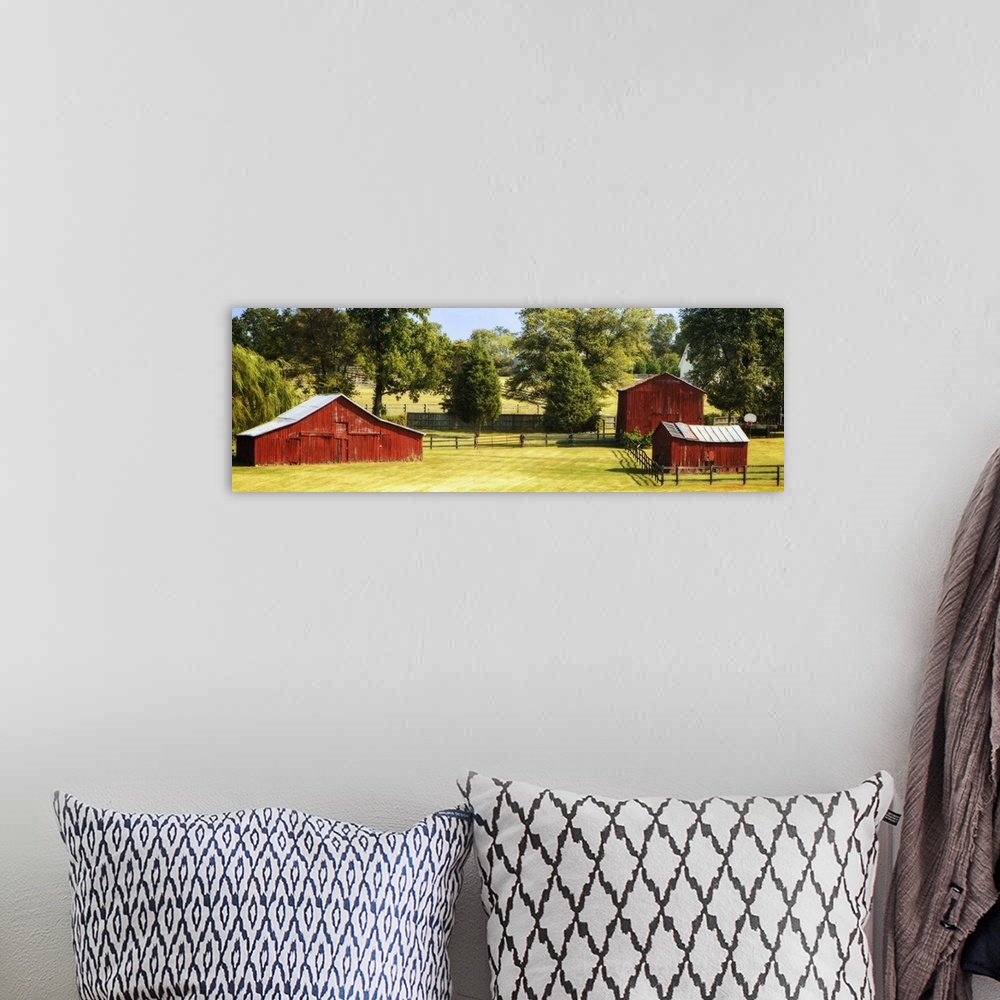 A bohemian room featuring Panoramic photograph of three red barns in Louisa County, Virginia.