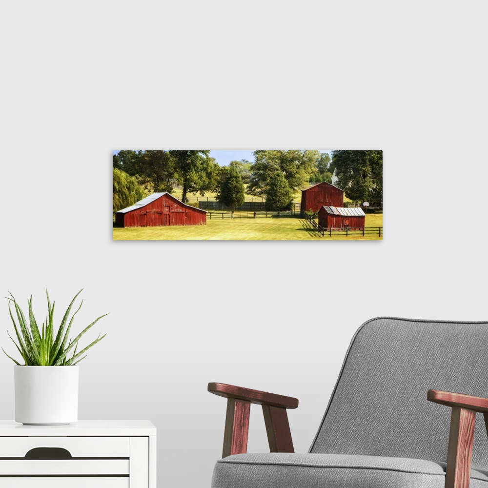 A modern room featuring Panoramic photograph of three red barns in Louisa County, Virginia.