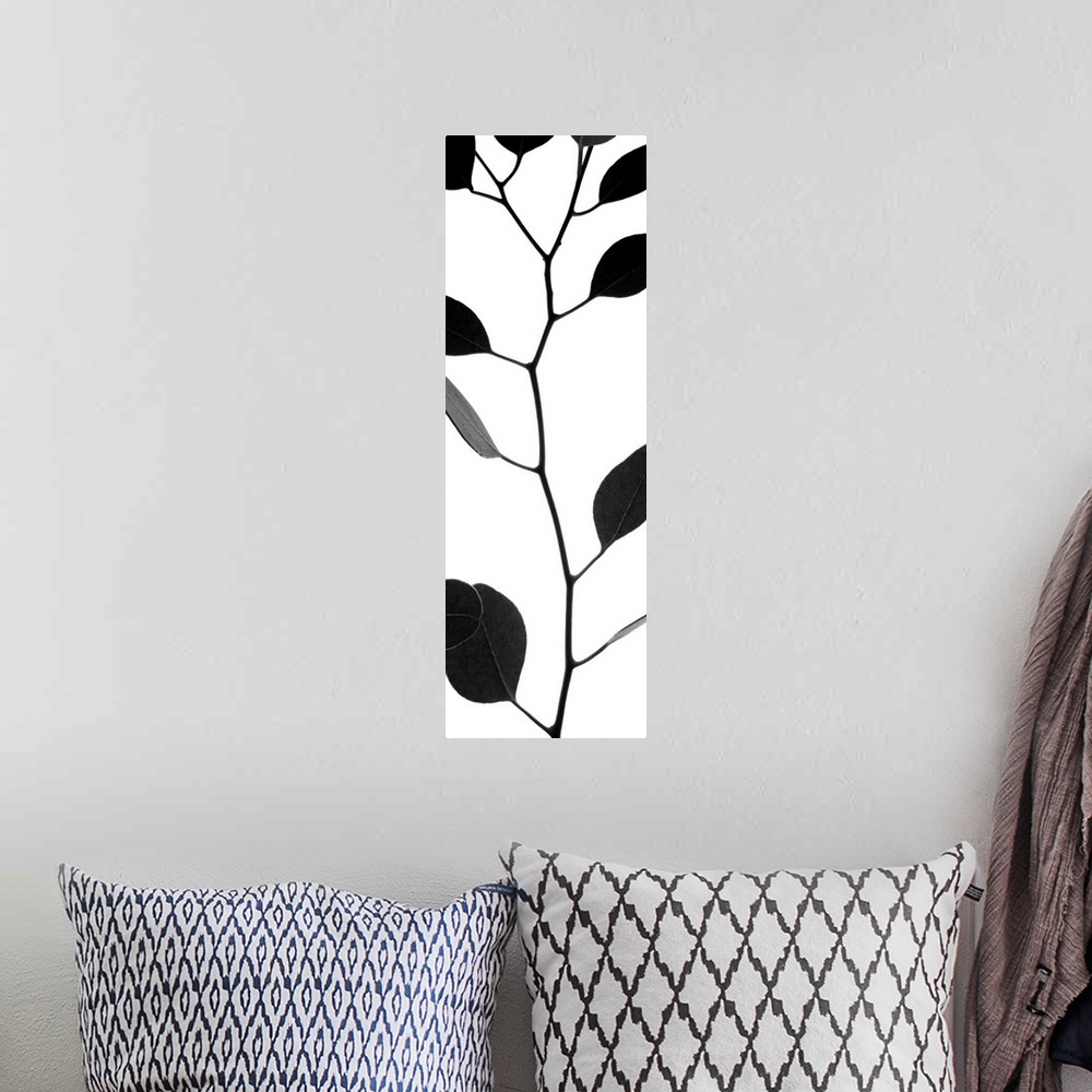 A bohemian room featuring Silhouette of a thin branch with round leaves.