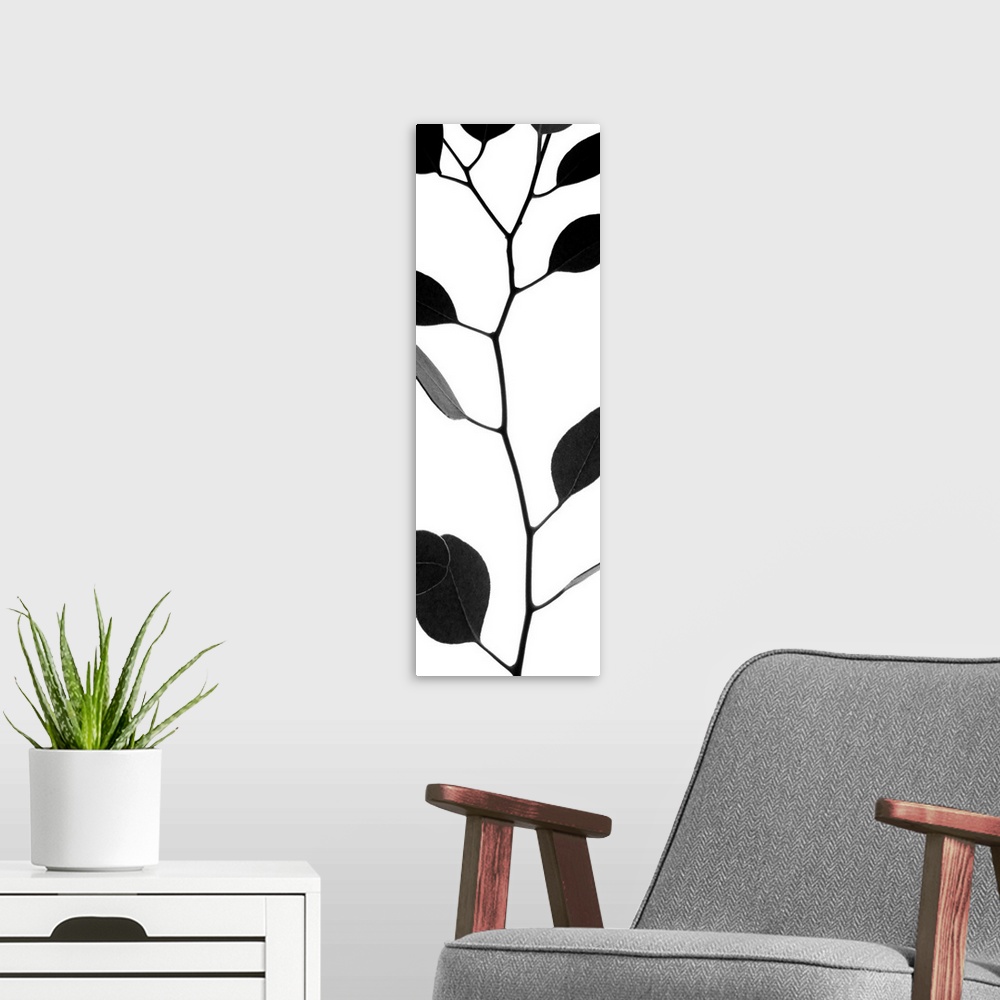 A modern room featuring Silhouette of a thin branch with round leaves.