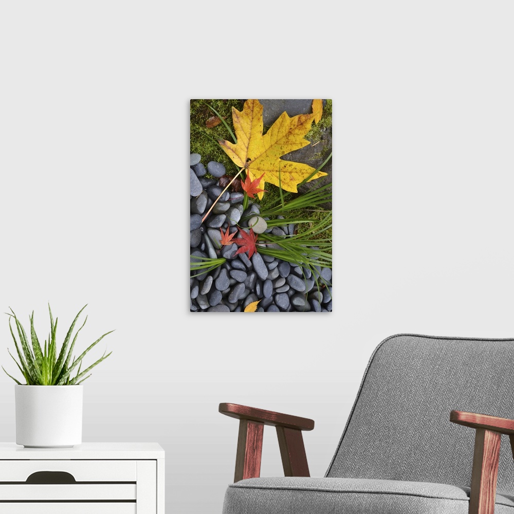 A modern room featuring Maple Leaves II