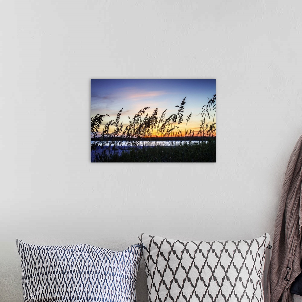 A bohemian room featuring Silhouette of beach grasses against the bright colors of the sunset sky.
