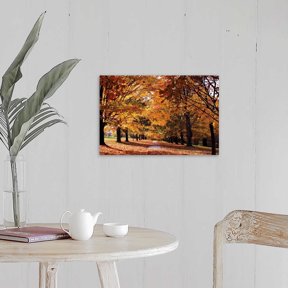 A farmhouse room featuring Huge photograph displays a sidewalk littered with leaves from the surrounding rows of maple trees.