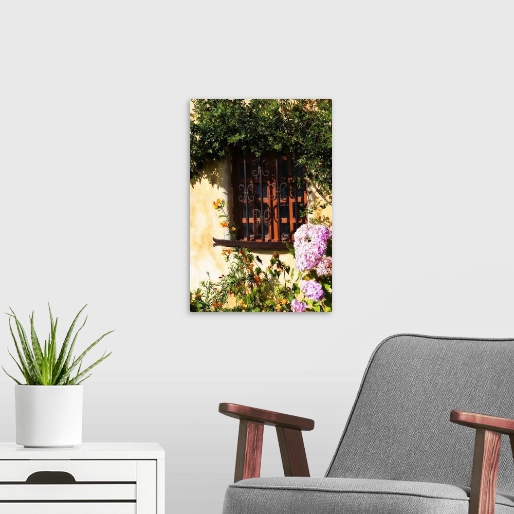 A modern room featuring Photograph taken of a window that is surrounded by flowers and plants that have grown along the w...