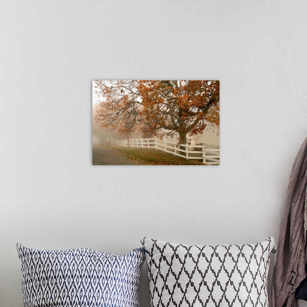 A bohemian room featuring This oversized print is a photograph taken of a large tree during the autumn season behind a whit...