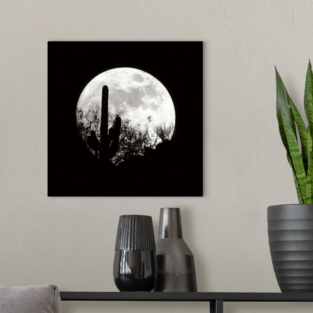 A modern room featuring Moonrise in May I