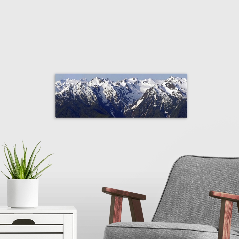 A modern room featuring Panoramic photograph of snow capped Hurricane Ridge, Olympic Mountains, Washington.