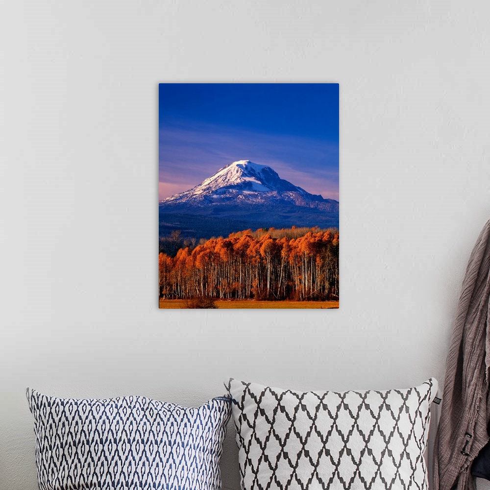 A bohemian room featuring The snow-covered peak of Mount Adams in the fall.