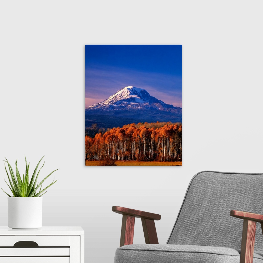 A modern room featuring The snow-covered peak of Mount Adams in the fall.