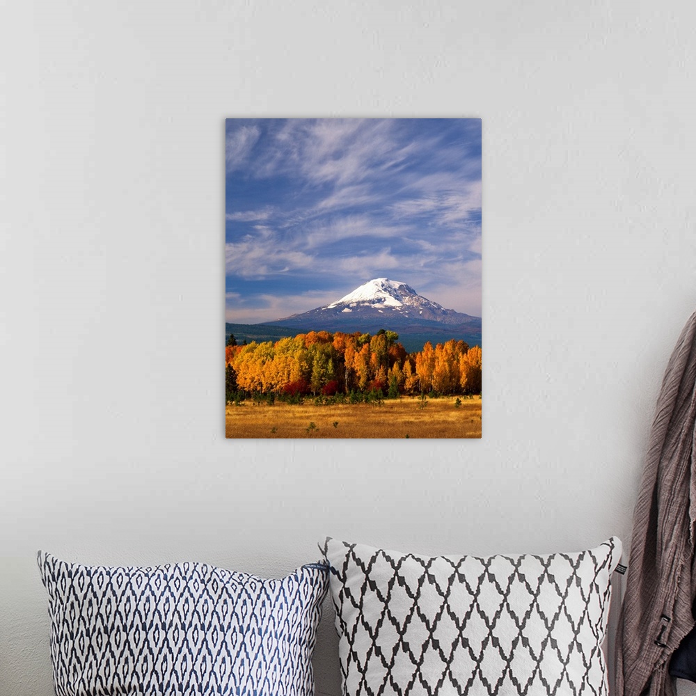 A bohemian room featuring Mount Adams seen from a forest in fall colors with clouds overhead.