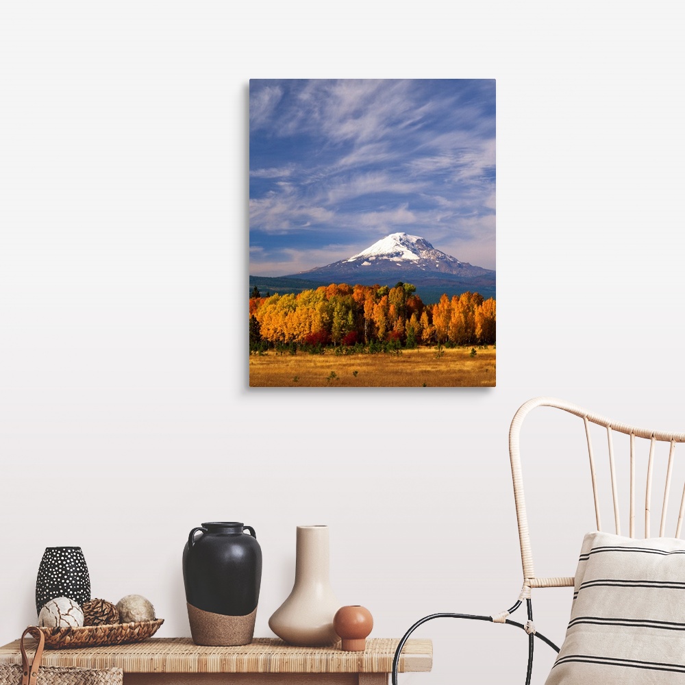 A farmhouse room featuring Mount Adams seen from a forest in fall colors with clouds overhead.