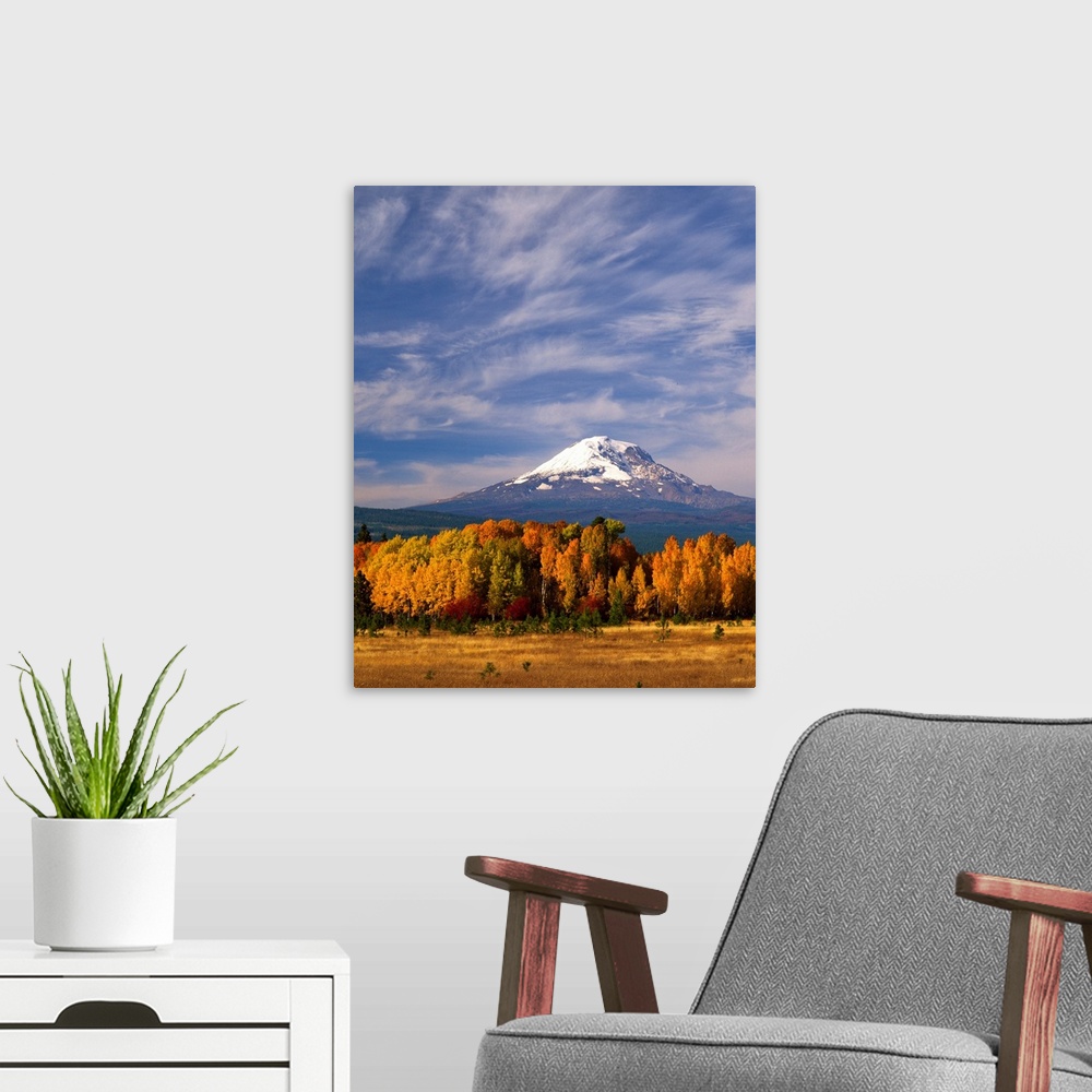 A modern room featuring Mount Adams seen from a forest in fall colors with clouds overhead.
