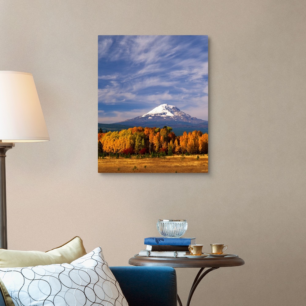 A traditional room featuring Mount Adams seen from a forest in fall colors with clouds overhead.