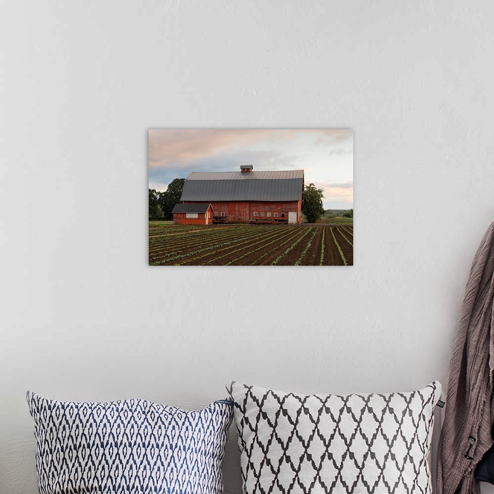 A bohemian room featuring Photograph of a red barn with rows of crops in the foreground.