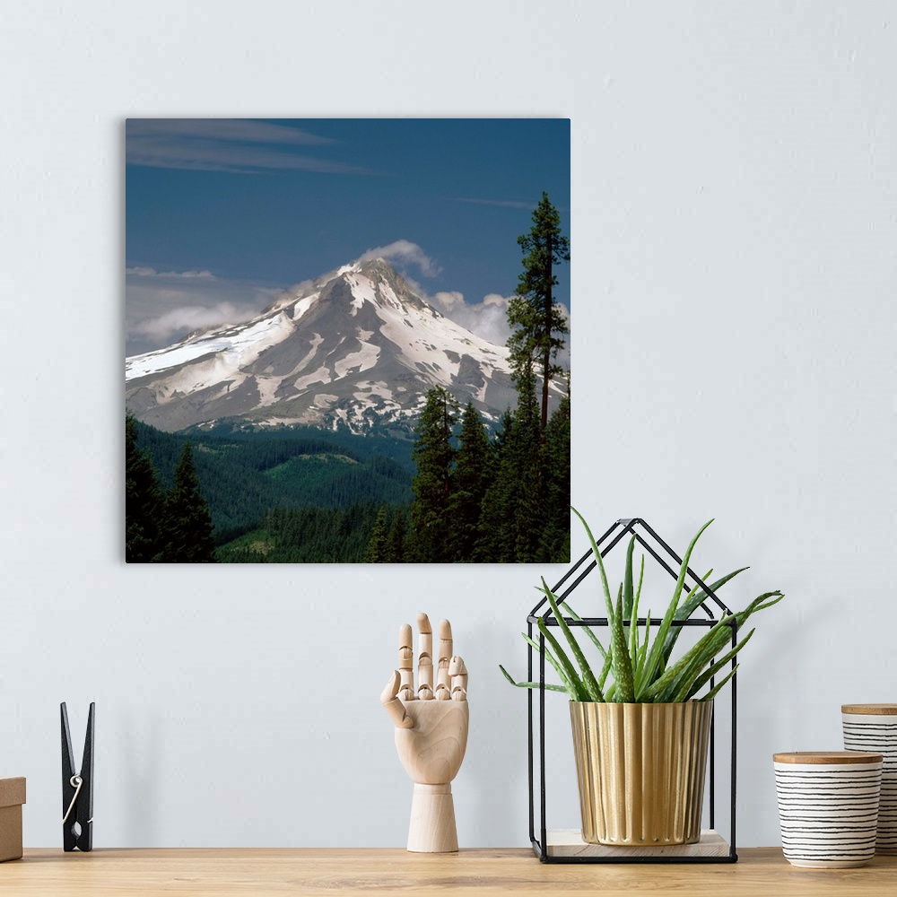 A bohemian room featuring Square photograph of Mount Hood with rolling hills and pine trees in the foreground.