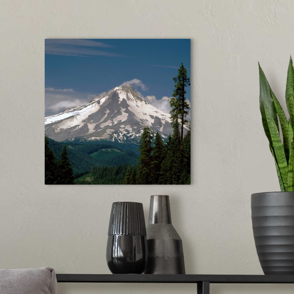 A modern room featuring Square photograph of Mount Hood with rolling hills and pine trees in the foreground.