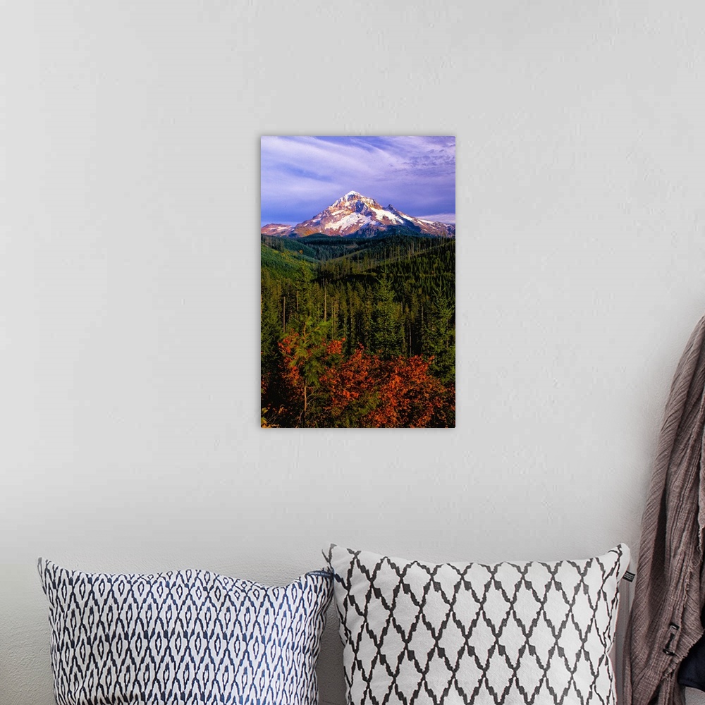 A bohemian room featuring The snowy peak of Mount Hood visible over evergreen forests in Oregon.