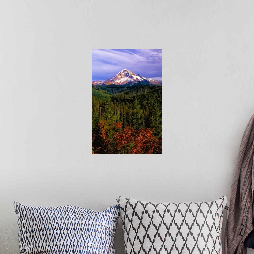 A bohemian room featuring The snowy peak of Mount Hood visible over evergreen forests in Oregon.