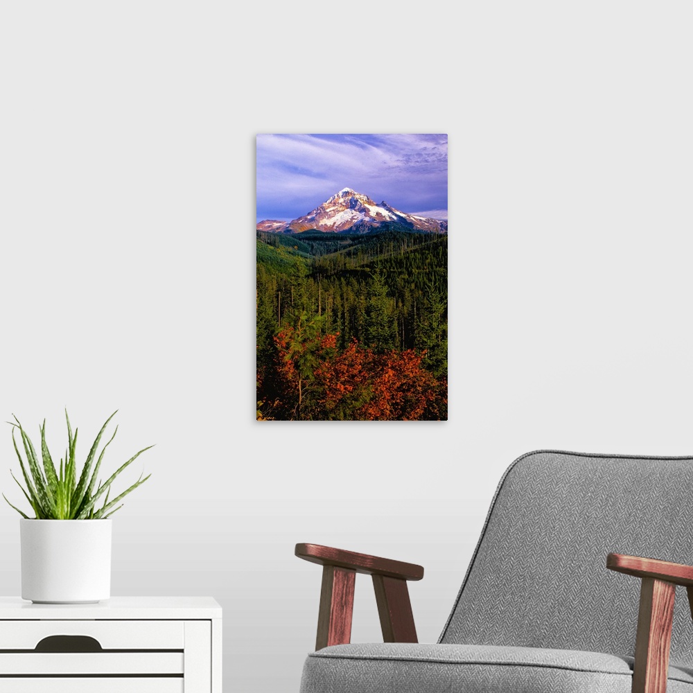 A modern room featuring The snowy peak of Mount Hood visible over evergreen forests in Oregon.