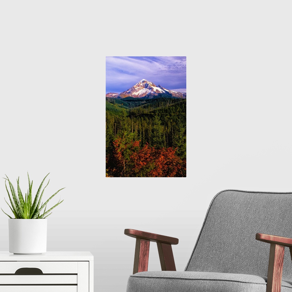 A modern room featuring The snowy peak of Mount Hood visible over evergreen forests in Oregon.