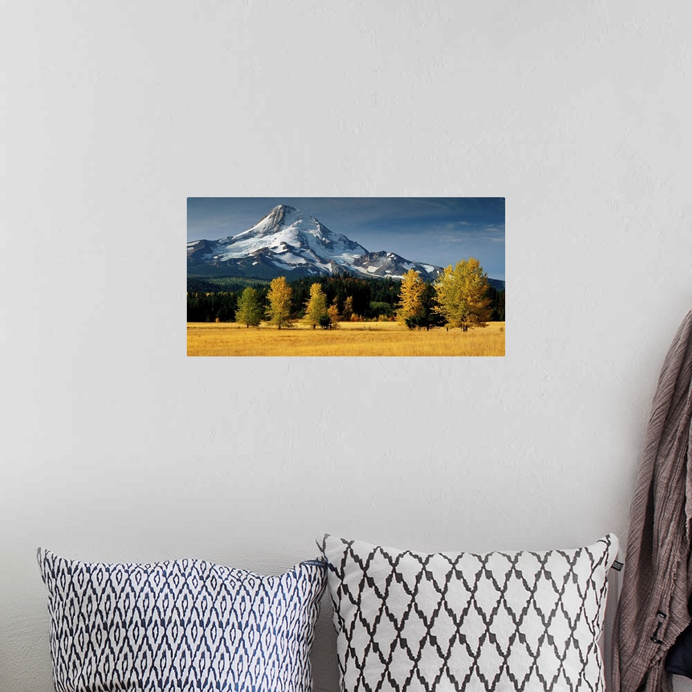A bohemian room featuring View of Mount Hood from a field in fall colors.
