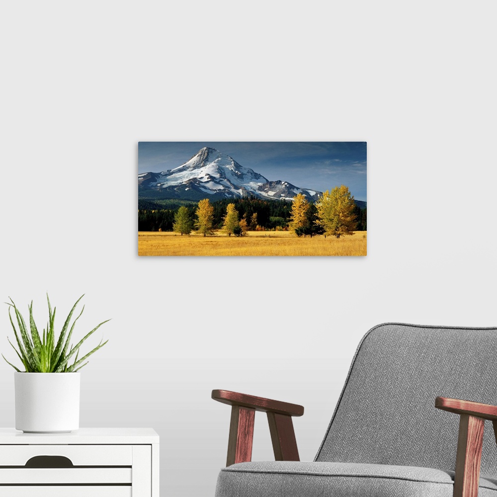 A modern room featuring View of Mount Hood from a field in fall colors.
