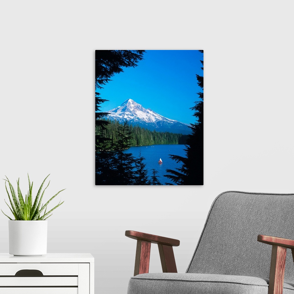 A modern room featuring Snowy Mount Hood seen from a lake surrounded by pine trees.