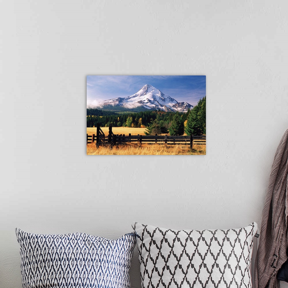 A bohemian room featuring View of Mount Hood, Oregon, from a rural farm.