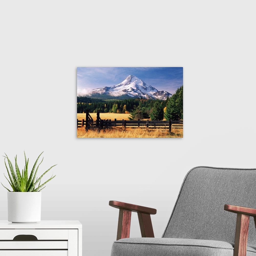 A modern room featuring View of Mount Hood, Oregon, from a rural farm.