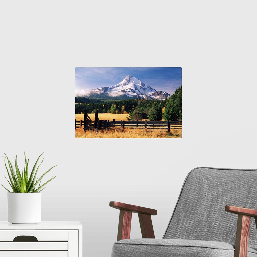 A modern room featuring View of Mount Hood, Oregon, from a rural farm.