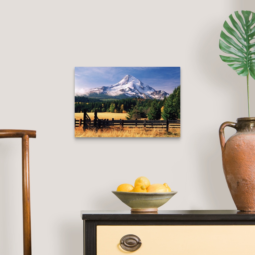 A traditional room featuring View of Mount Hood, Oregon, from a rural farm.