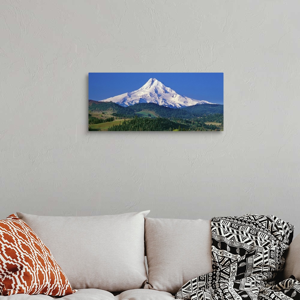 A bohemian room featuring Panoramic photo of Mount Hood against a blue sky.