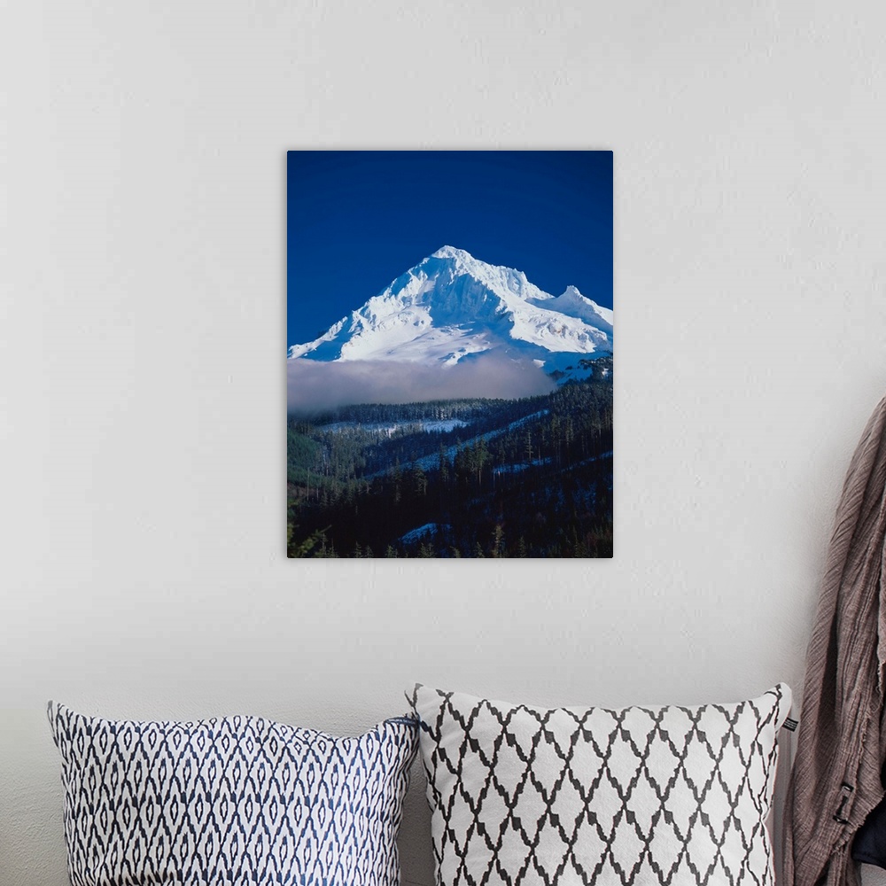 A bohemian room featuring Mount Hood covered in snow rising over an evergreen forest.
