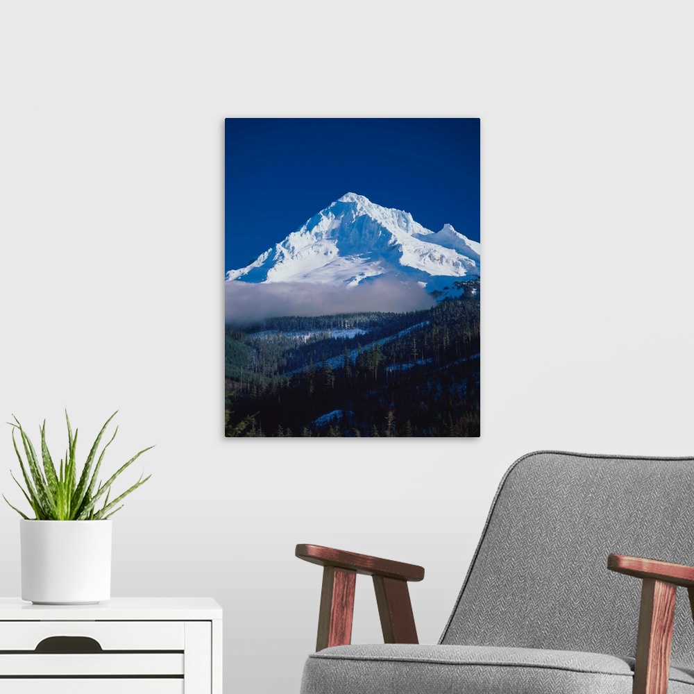 A modern room featuring Mount Hood covered in snow rising over an evergreen forest.