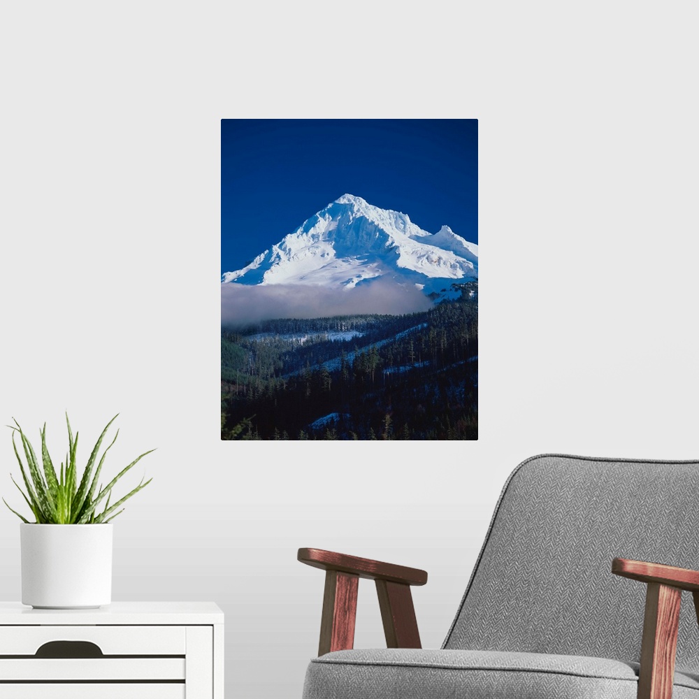 A modern room featuring Mount Hood covered in snow rising over an evergreen forest.