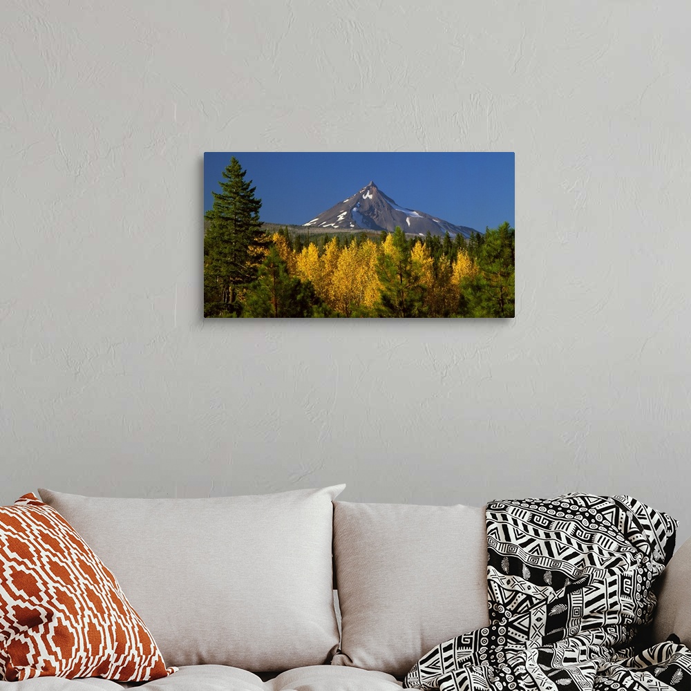 A bohemian room featuring Landscape photograph with Autumn trees in the foreground and a snowy Mount Jefferson in the backg...