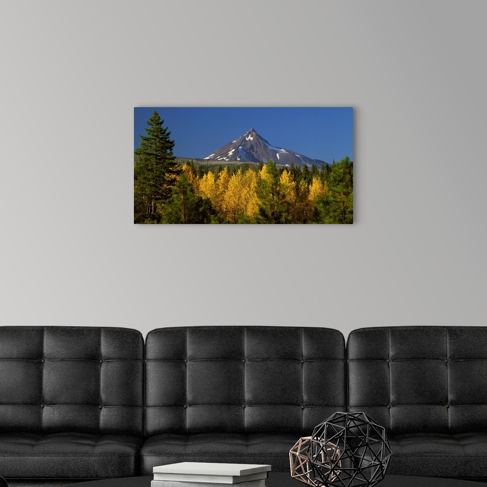 A modern room featuring Landscape photograph with Autumn trees in the foreground and a snowy Mount Jefferson in the backg...