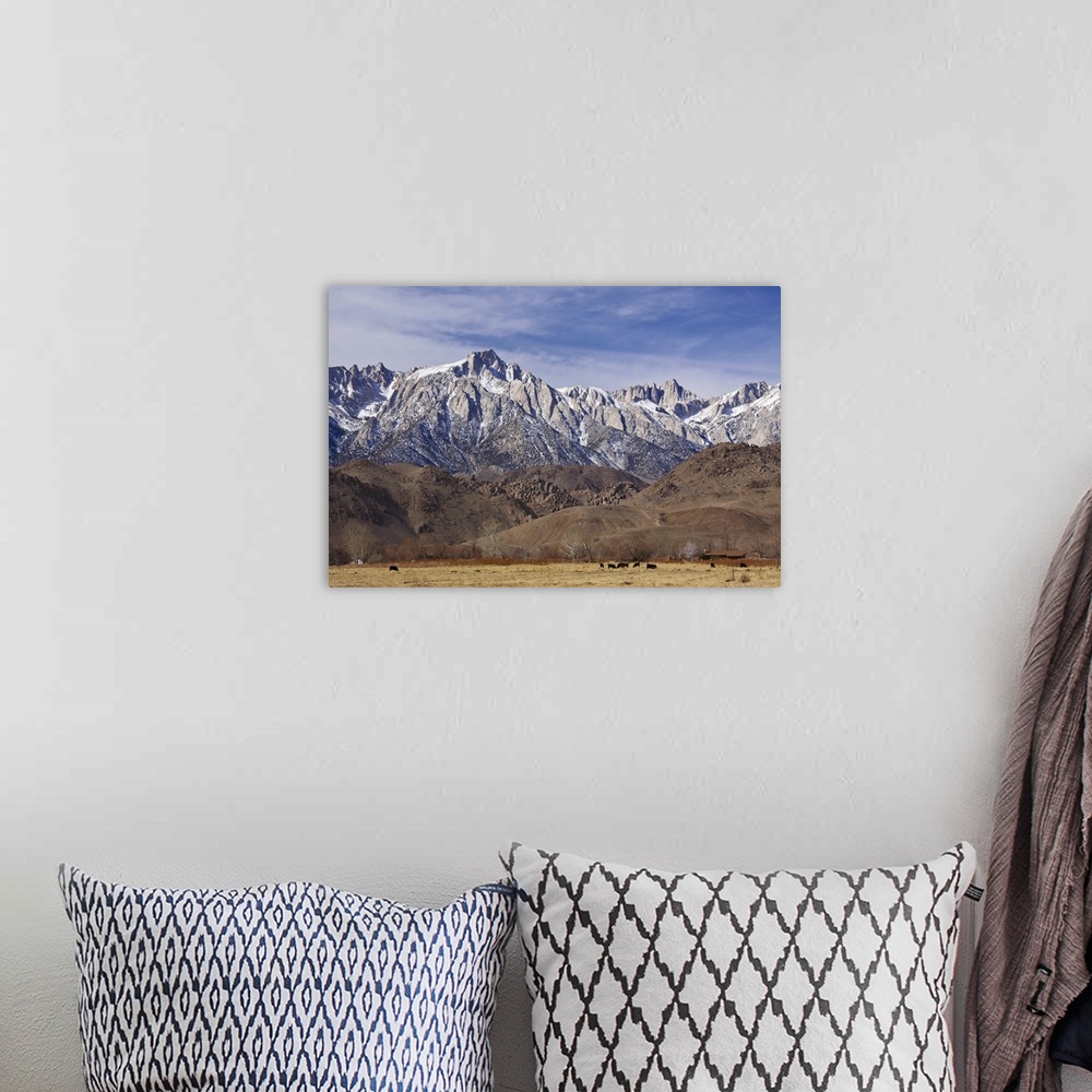 A bohemian room featuring Mt. Whitney Range I