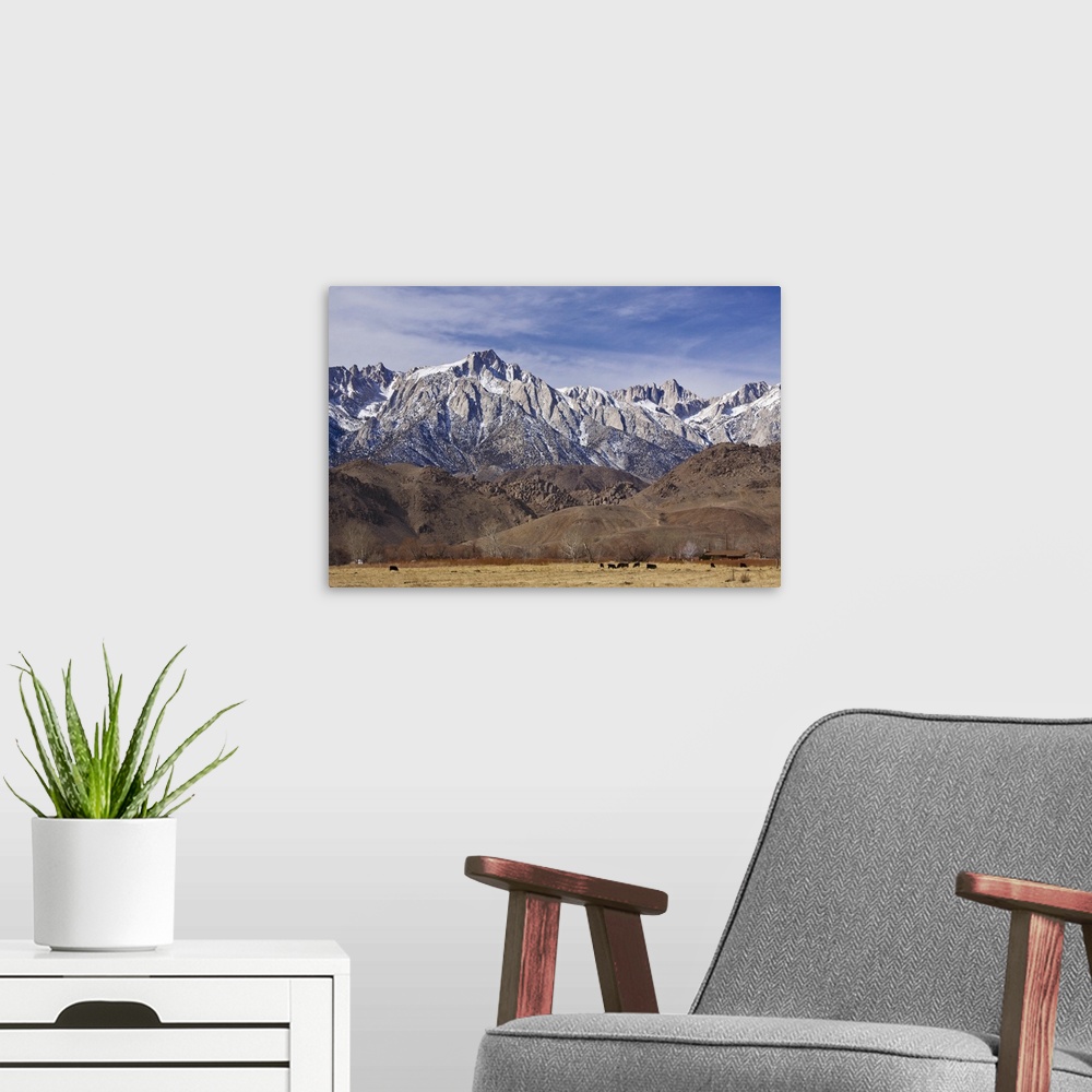 A modern room featuring Mt. Whitney Range I