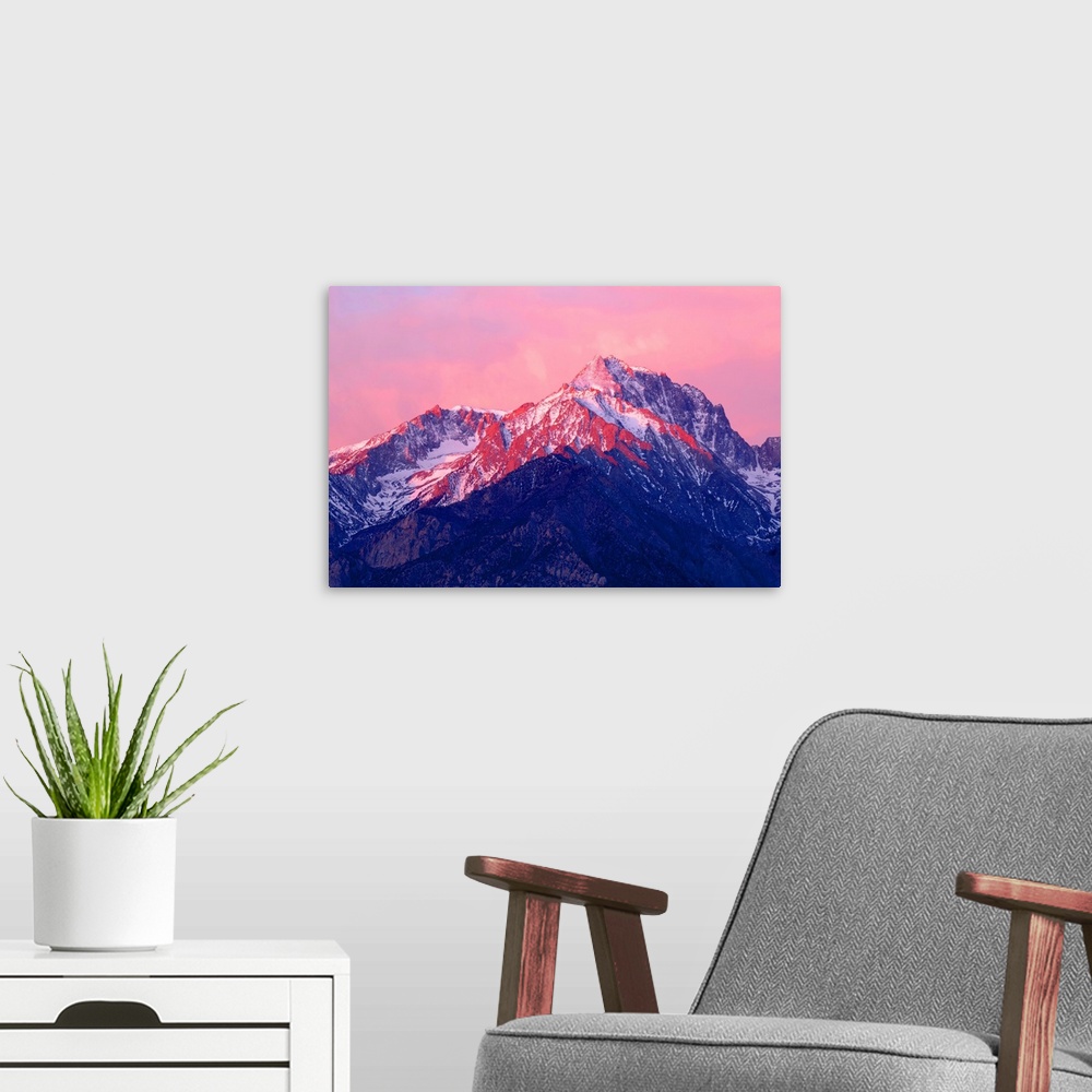 A modern room featuring Photograph of Mount Williamson at sunrise with the pink sky reflecting onto the snowy peaks.