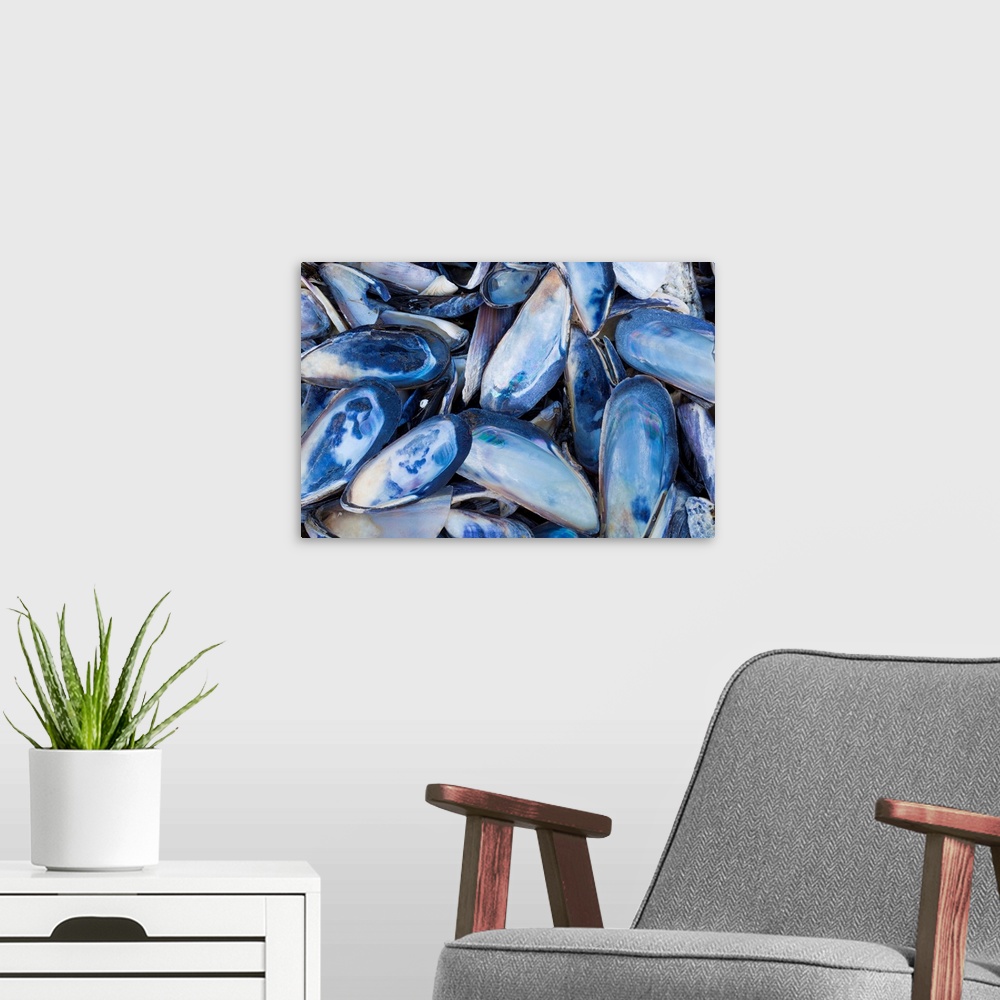 A modern room featuring Mussels I